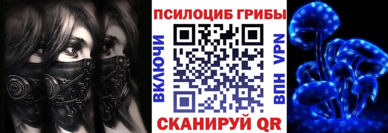 Галлюциногенные грибы Cubensis Волосово